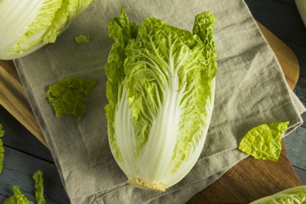 Napa Cabbage Shredded