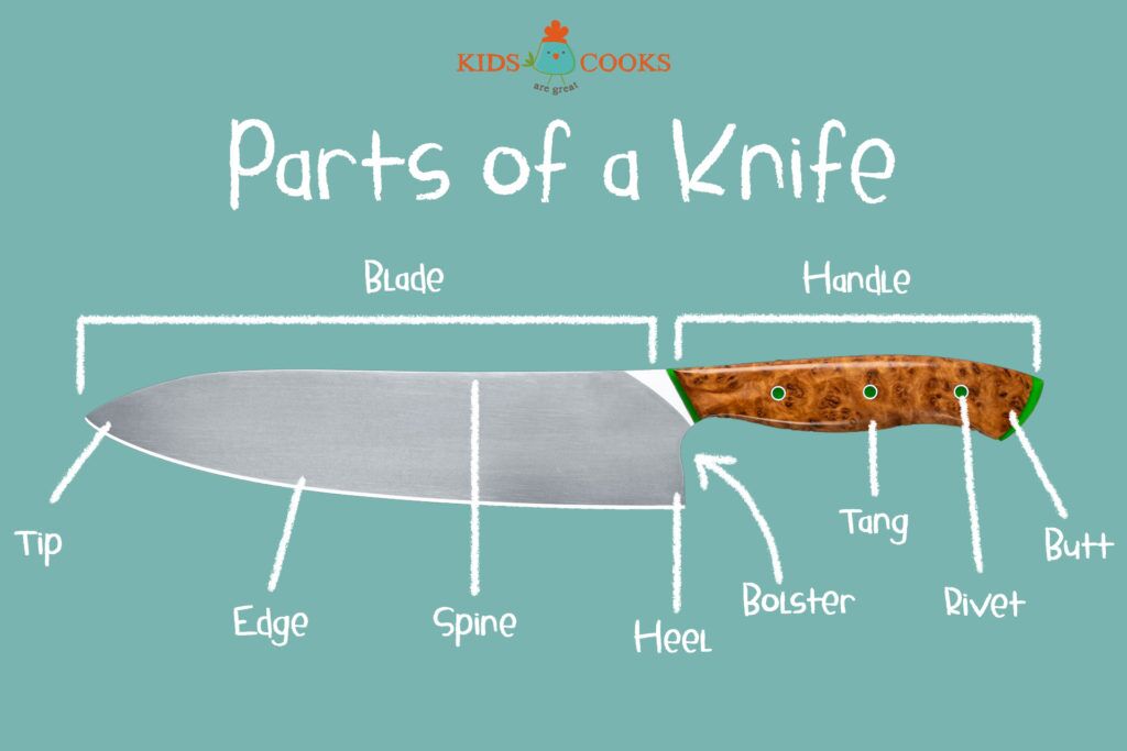 The Parts of a Kitchen Knife